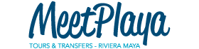 logo-meetplaya