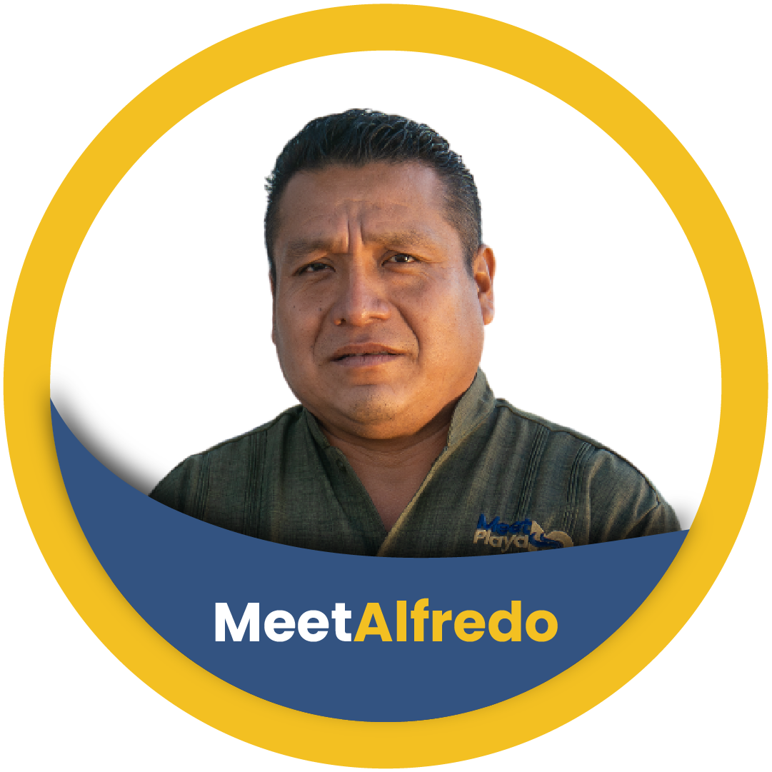 Alfredo
