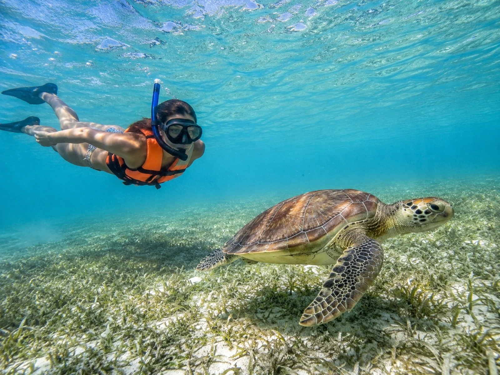 Snorkel Guiado en Bahía de Akumal