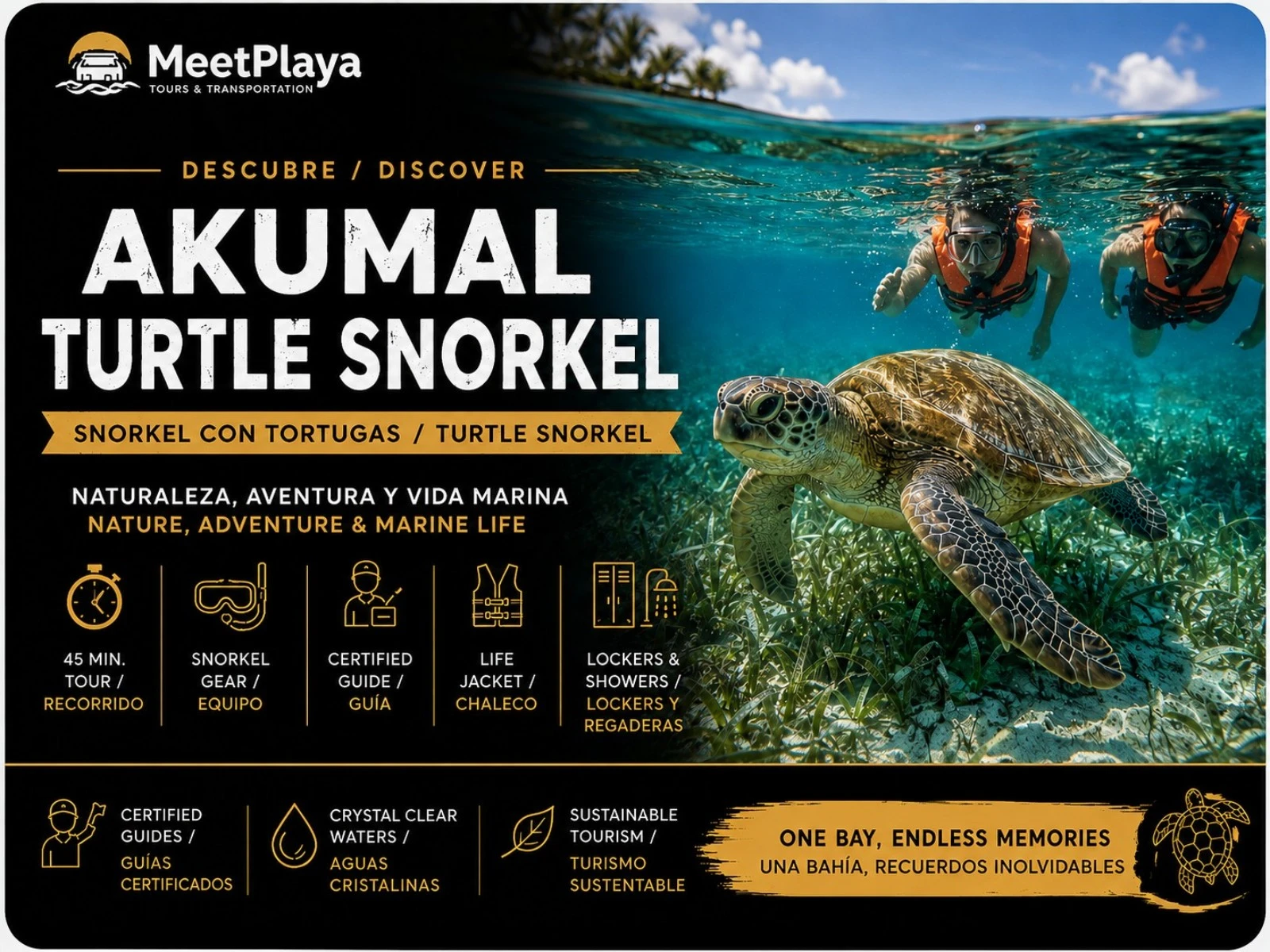 Nado con Tortugas en Akumal — Tour Privado de