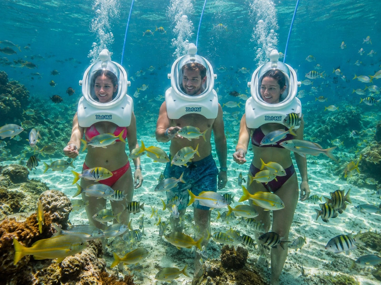 Sea Trek® Caminata Submarina en Xel-Há