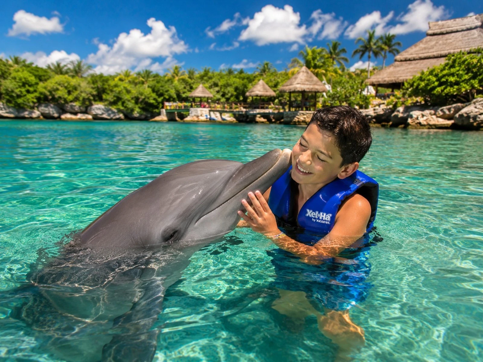 Delphinus Primax — Nado con Delfines Premium en Xel-Há